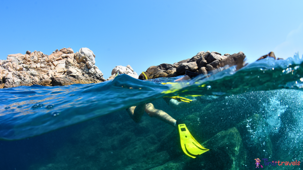 Snorkeling Man Underwater⁠ 