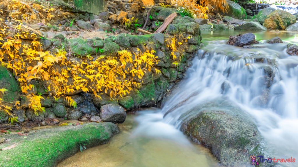 Kathu waterfall water gently flowing down the rocks Patong Phuket Thailand Asia⁠