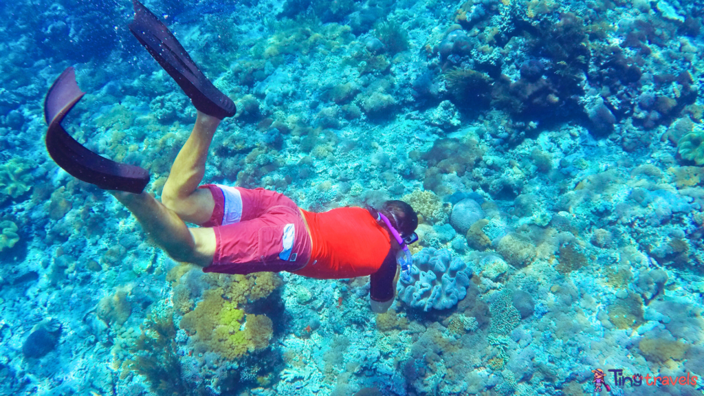 Snorkeler and coral reef⁠