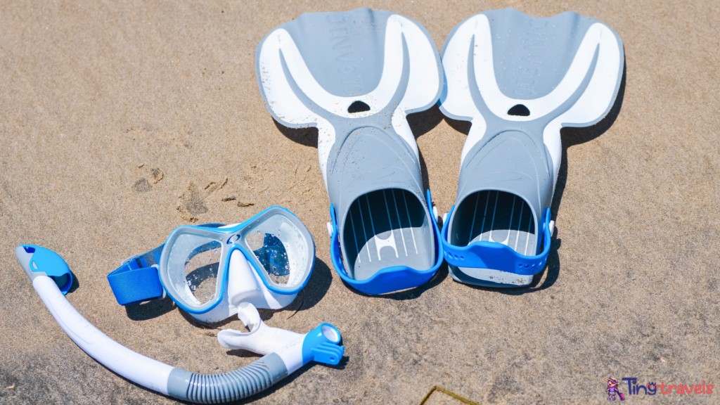 Snorkelling gears