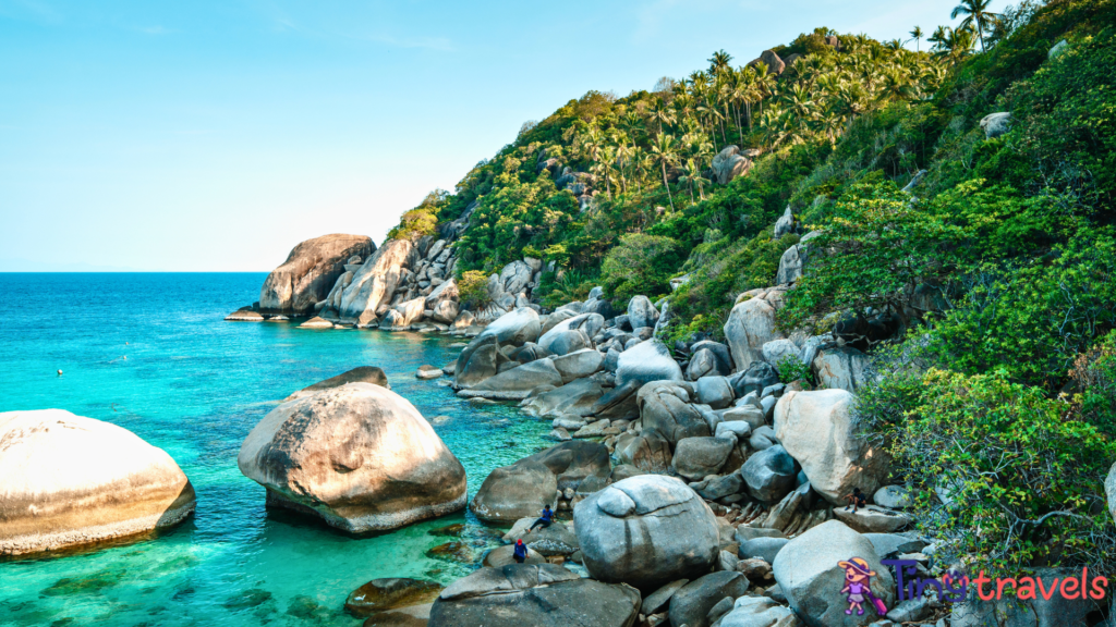 Bay and boat trips at Koh Tao⁠