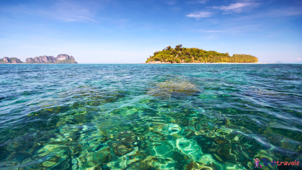 Bamboo Island