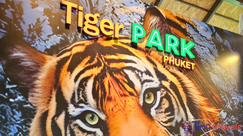 Tiger park phuket 