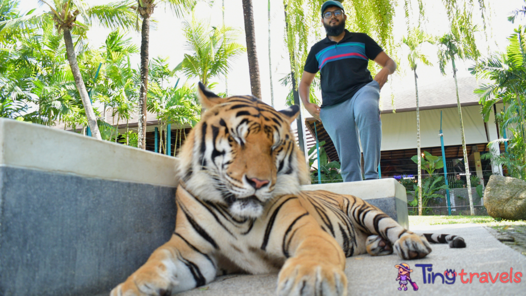 Phuket, Tiger Park