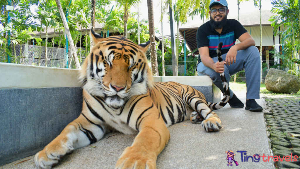 Phuket, Tiger Park 