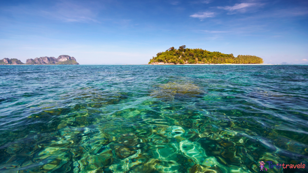 Bamboo Island